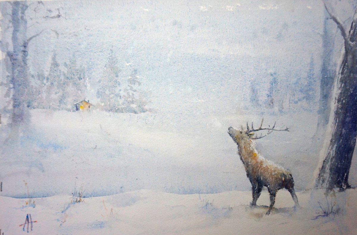 winter stag by andrew hodgson
