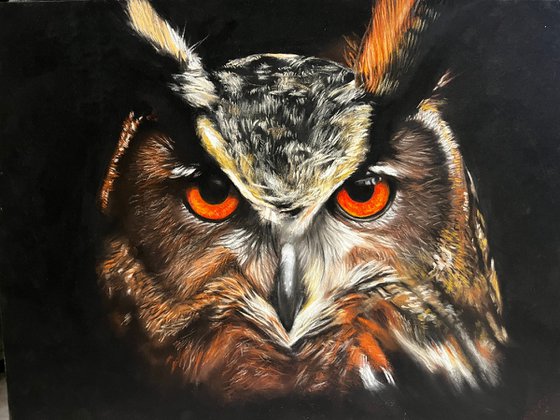 Amber Gaze - Original Owl Portrait