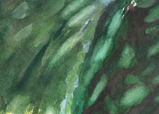 Pink Cottage in the Forest