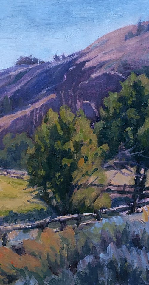 Mountain Pasture by Daniel Brian Fishback
