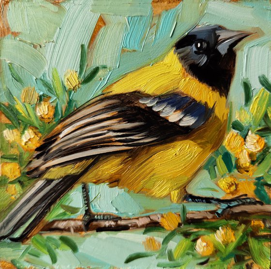 Audubon oriole bird small framed art oil painting original 4x4, Yellow bird on brunch thank you gifts