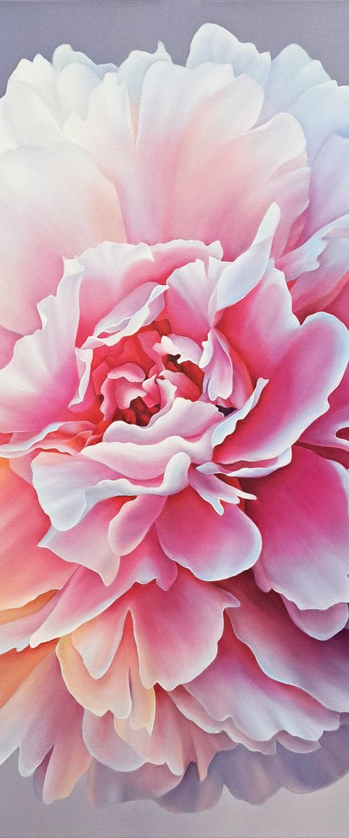 Charming peony by Anna Steshenko