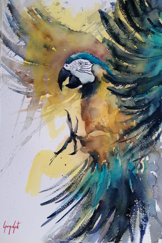 parrot 16