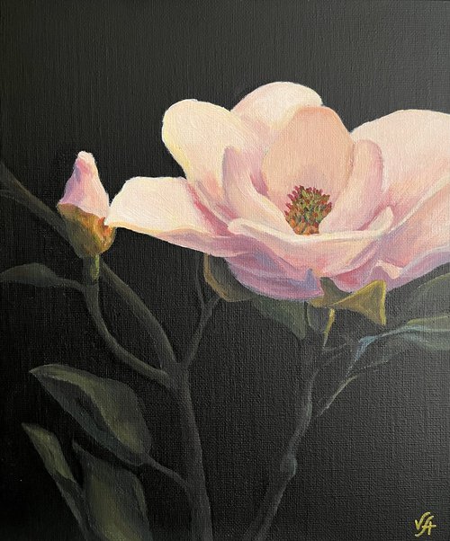 Magnolia blossom by Alona Vakhmistrova