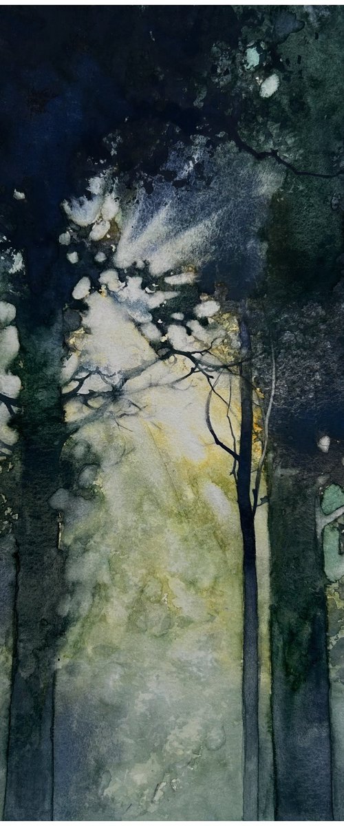 Forest Light in the Darkness by Nazar Grunyka