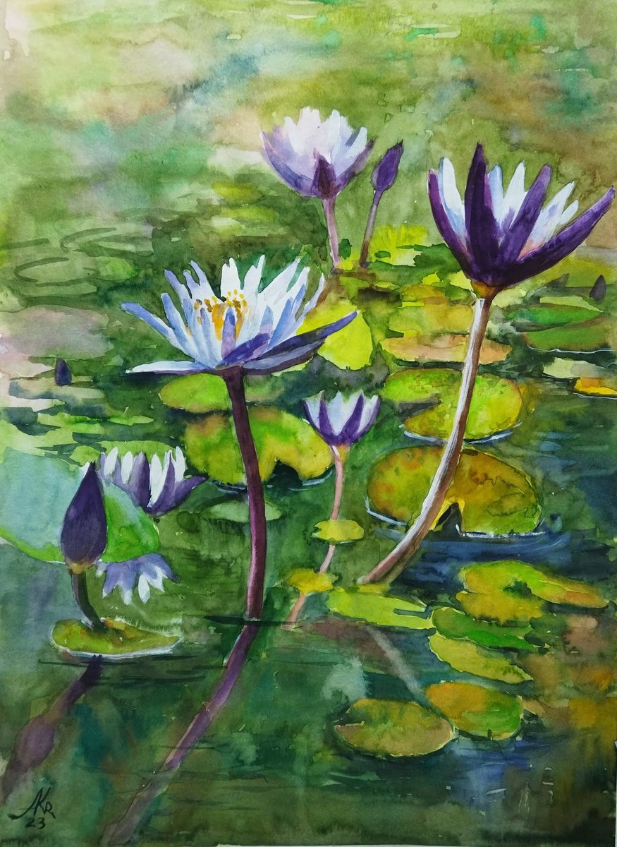 Purple water lily by Ann Krasikova