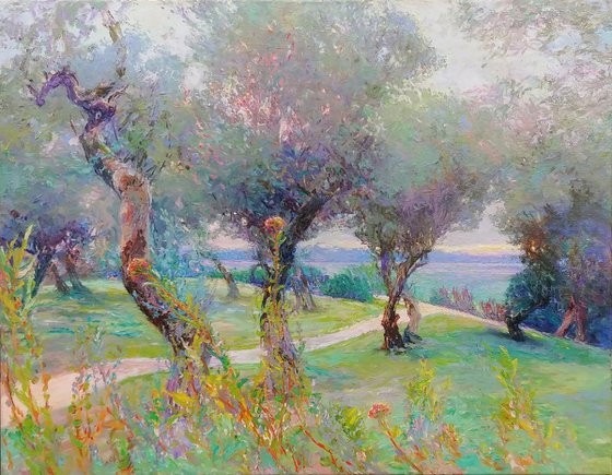 Olive grove.