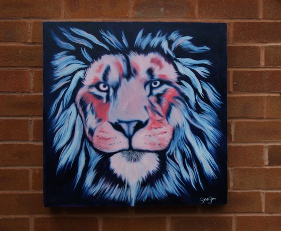 Intense Gaze 60cm x 60cm ( on canvas ) Free Shipping