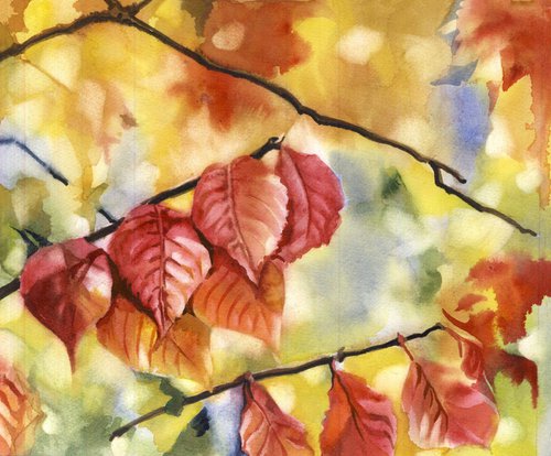 A painting a day #28 "crimson in autumn" by Alfred  Ng
