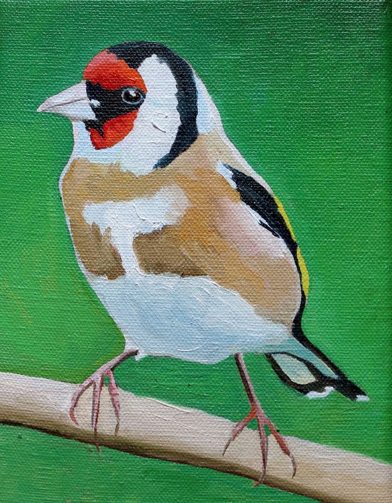 Goldfinch