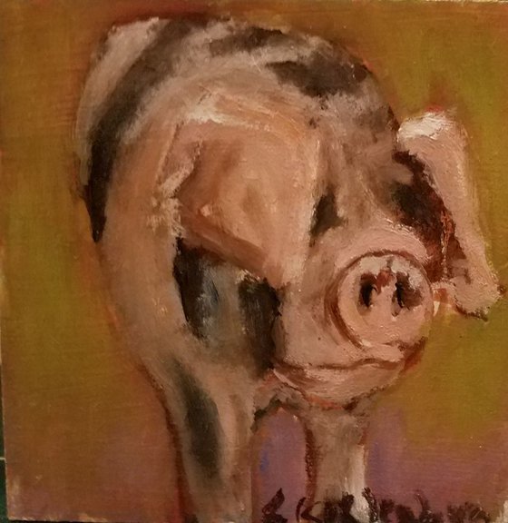 Doris the Pig