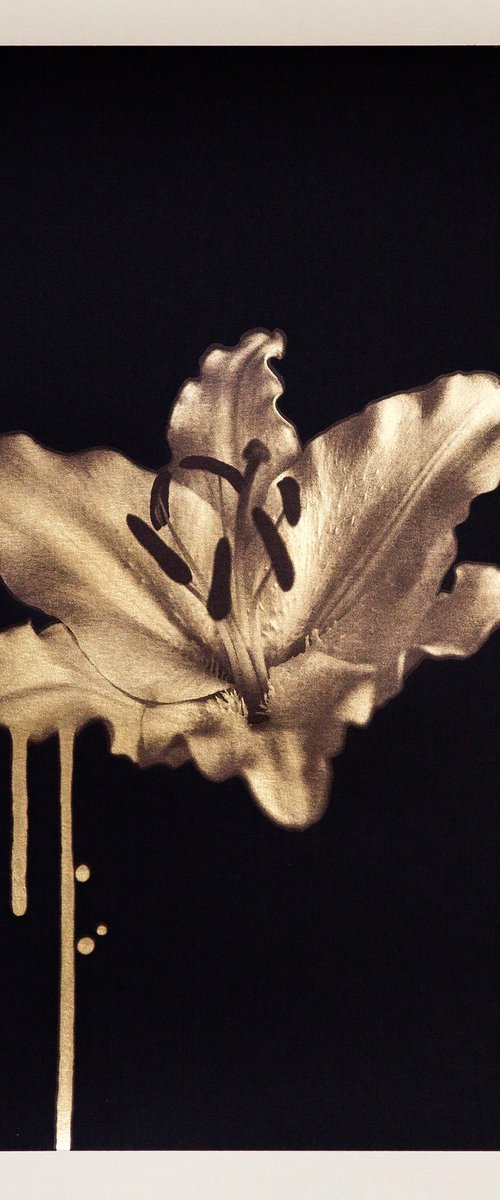 Gilded Lily (Gold) by Donk