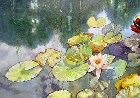 Water Lilies