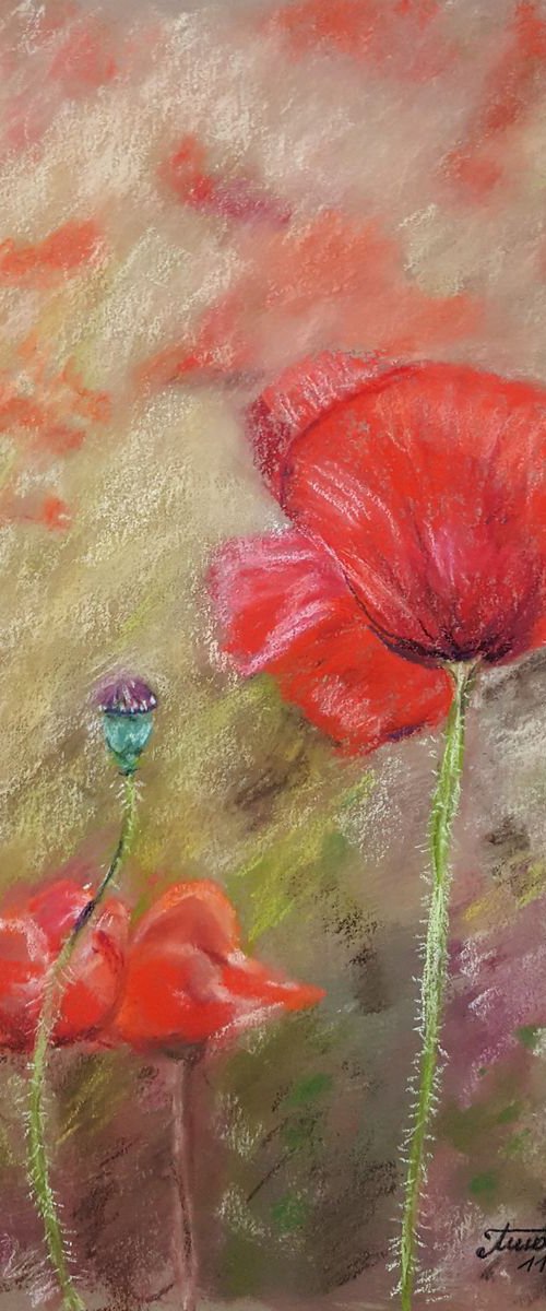 Poppies - ORIGINAL SOFT PASTEL PAINTING by Monika Wisniewska Amaviael