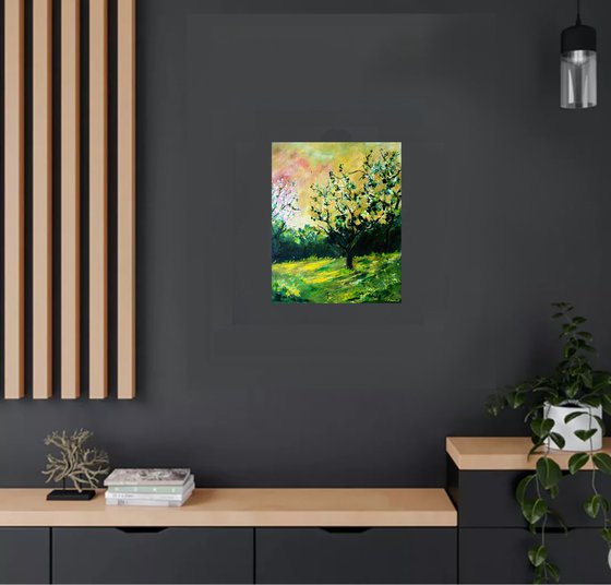 Orchard in Spring 4522