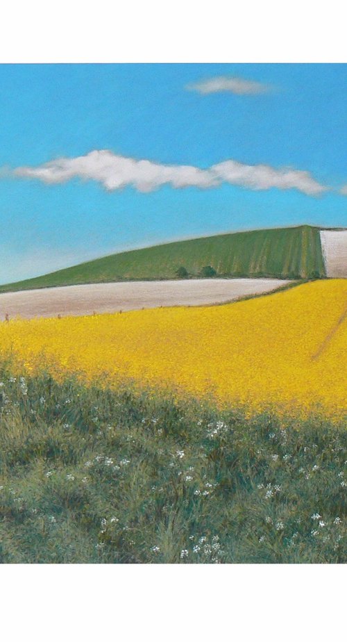 Avebury Downs by Paul Simpkins