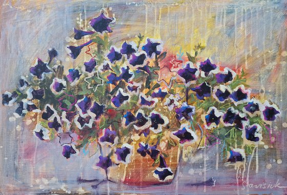 Midnight Starry Petunias