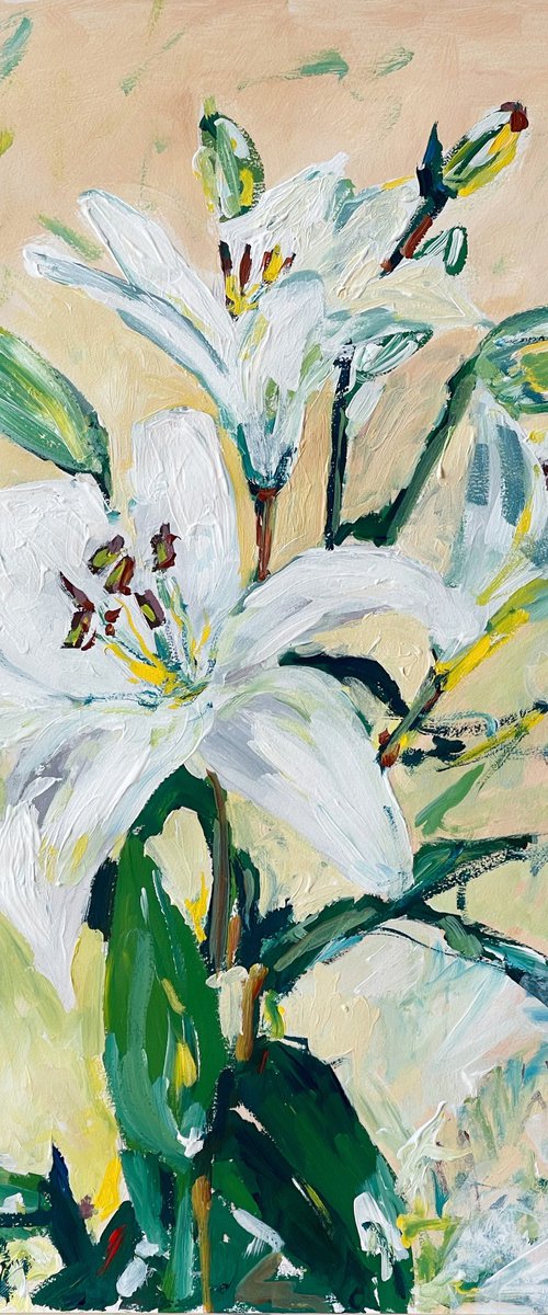 Lilies by Maiia Axton