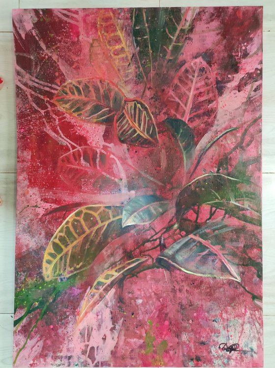 Croton