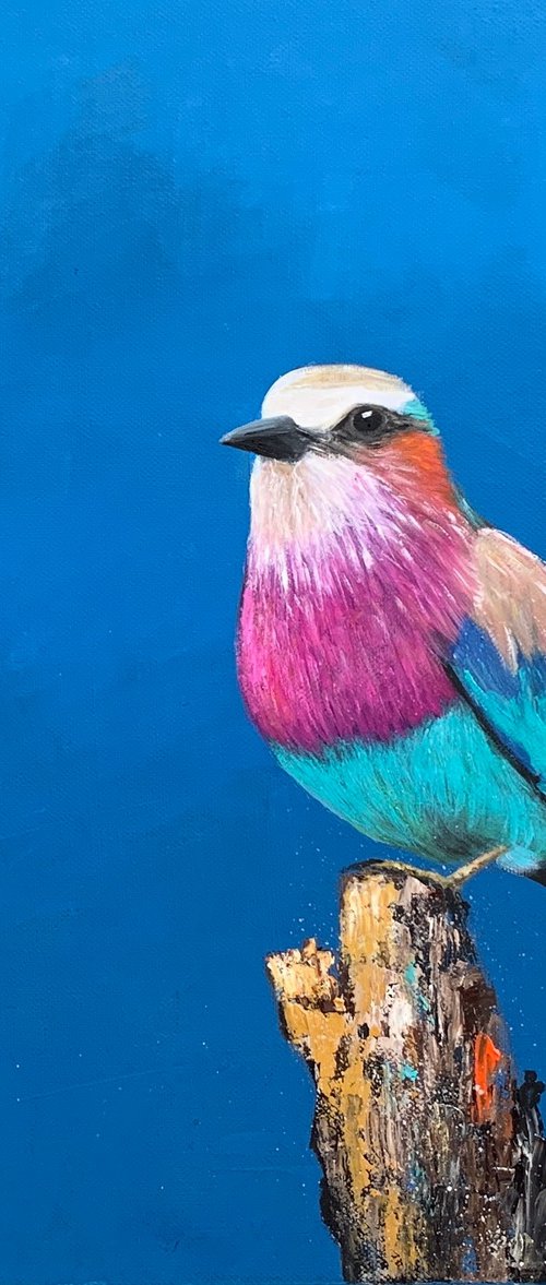 Lilac Breasted Roller by Laure Bury