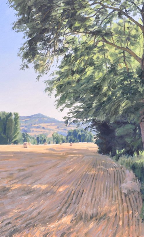 After the Harvest, Morning Light by ANNE BAUDEQUIN
