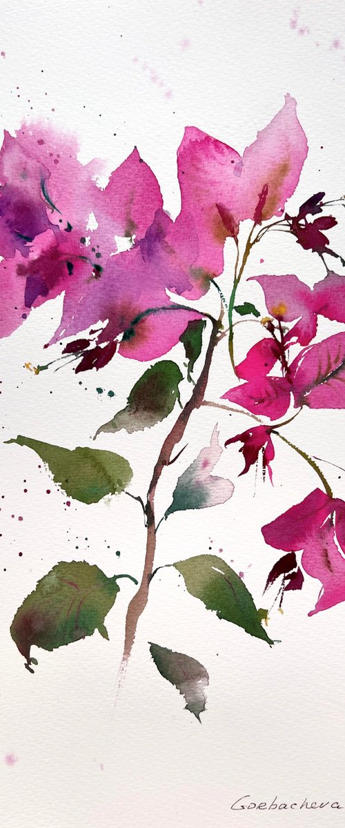 Bougainvillea #2 by Eugenia Gorbacheva