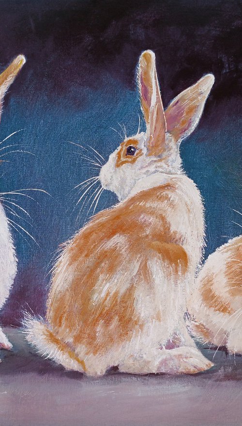 3 little Rabbits by Isabel Mahe