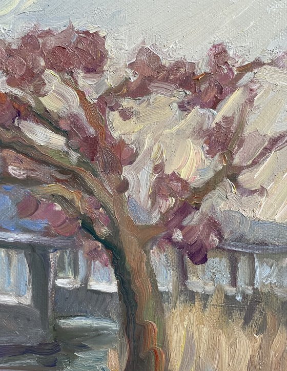 Reflections of Spring