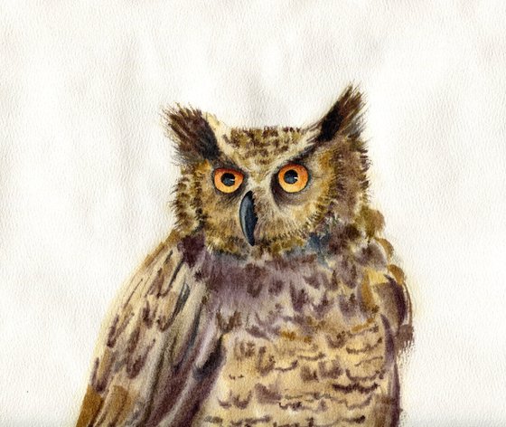 Watercolor portrait of an owl. Eagle owl. Animalism. Original watercolor.