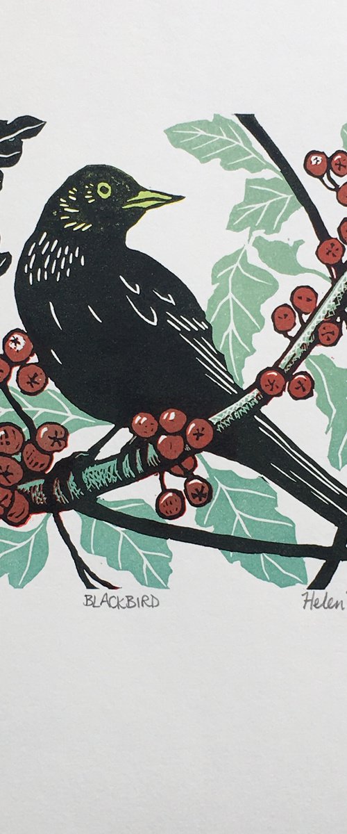 Blackbird by Helen Maxfield