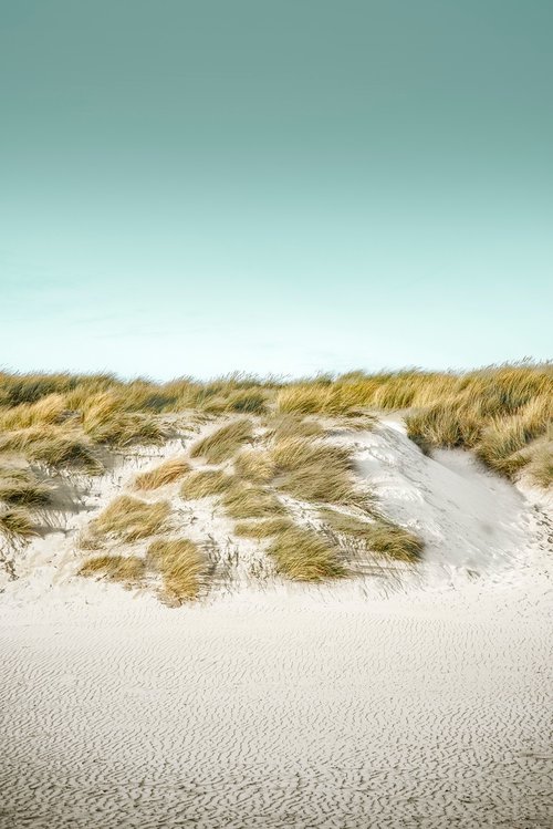 Dune by Adam Regan