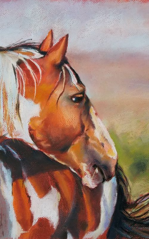 Wild and free by Magdalena Palega