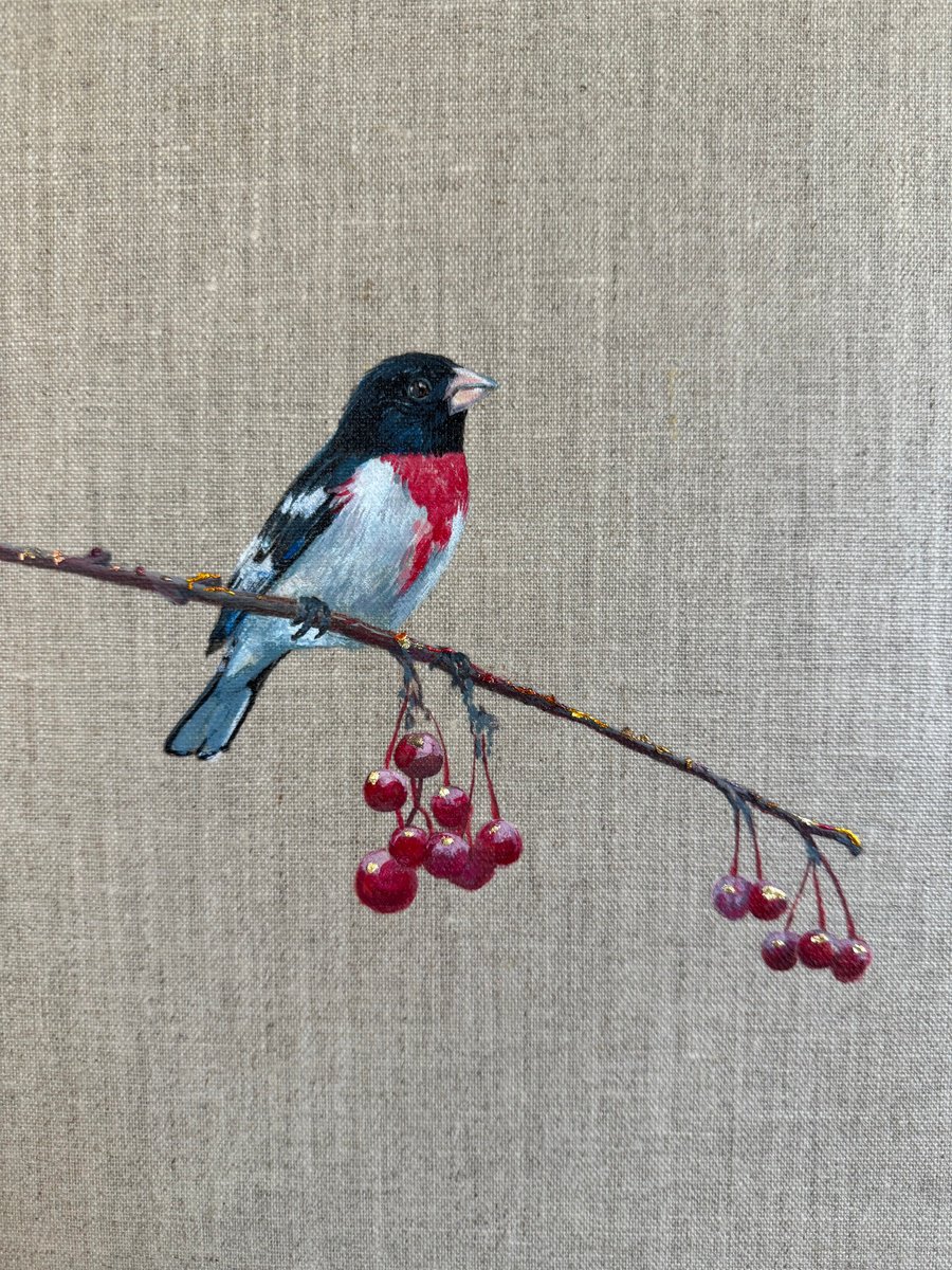 Rose Breasted Grosbeak on Linen by Hannah Bruce