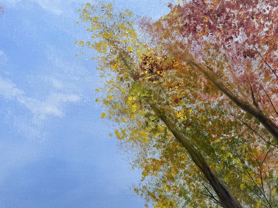 Autumn Reverie: Upward Vision