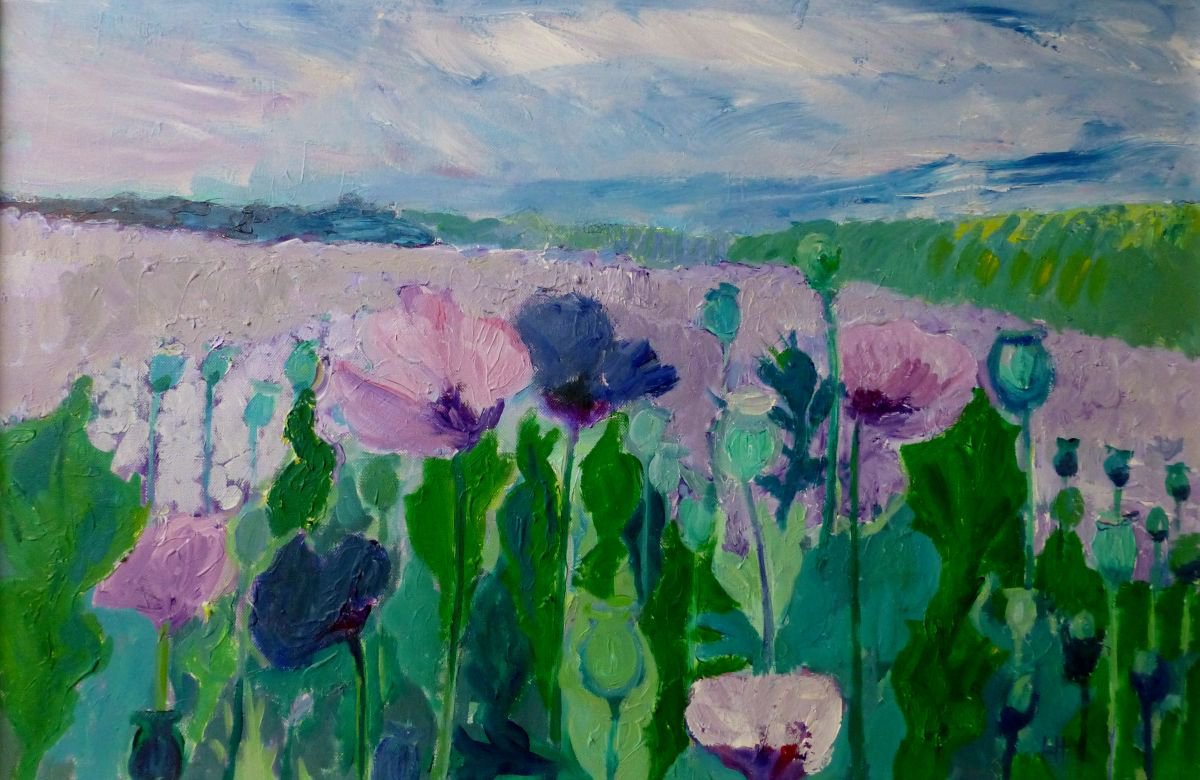 Pink Poppy field by Lynda Hopkins