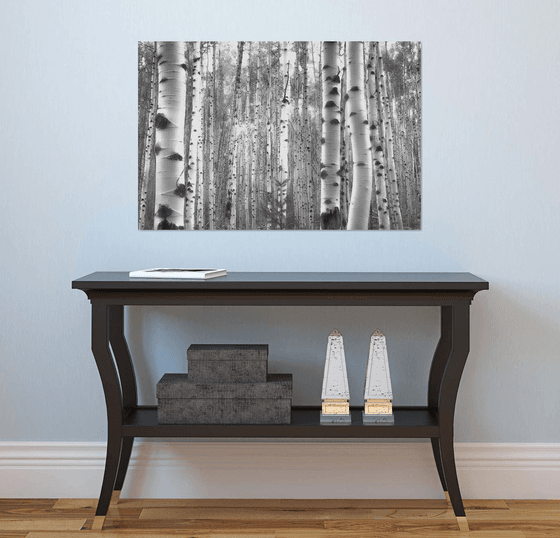 July Aspens in Black and White
