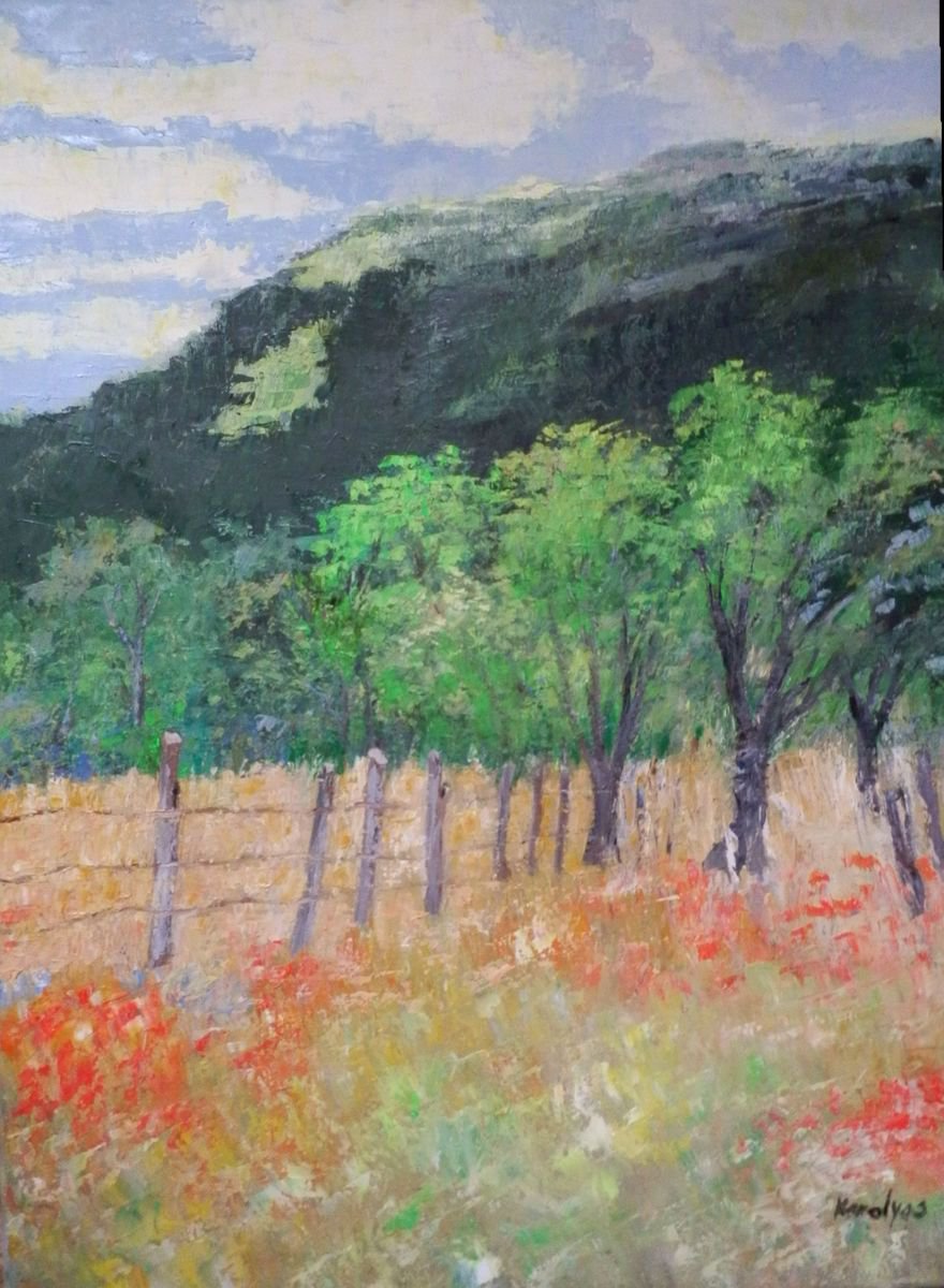 The hills of home by Maria Karalyos