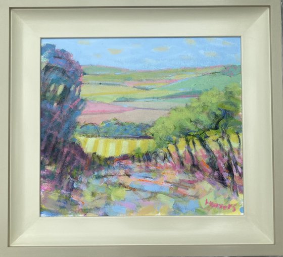 Vineyard Vista