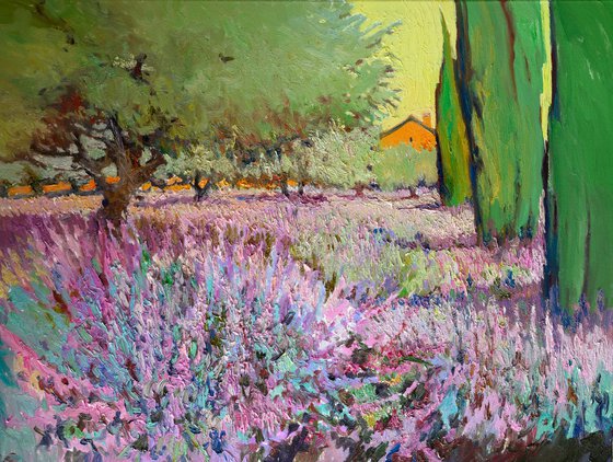 Lavender and Olive Trees