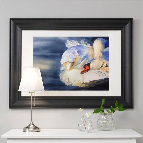 Swan Fidelity