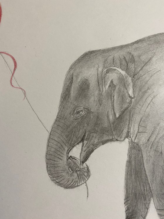 Elephant and balloon