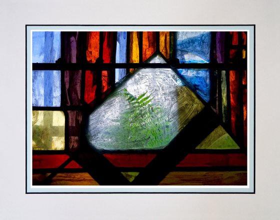 Fern inside Stained Glass