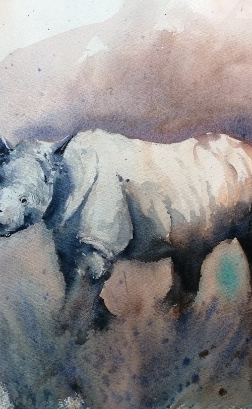 rhinos 4 by Giorgio Gosti