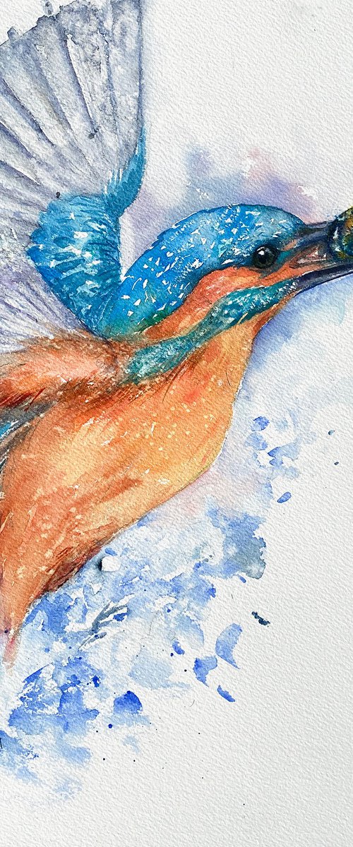 Kingfisher's Catch by Arti Chauhan