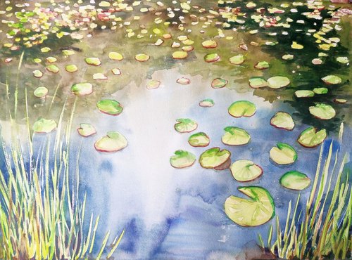 Pond. by Mag Verkhovets