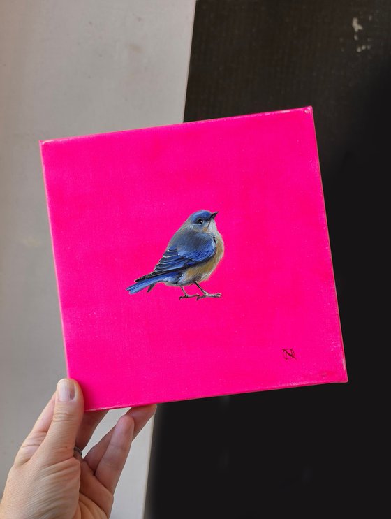 Bluebird Happiness