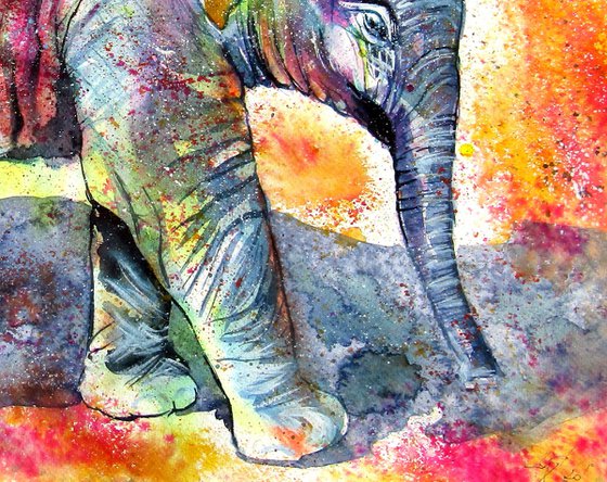 Elephant baby walking alone