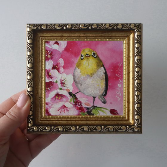 Bird on Blossom Branch, Spring Birds