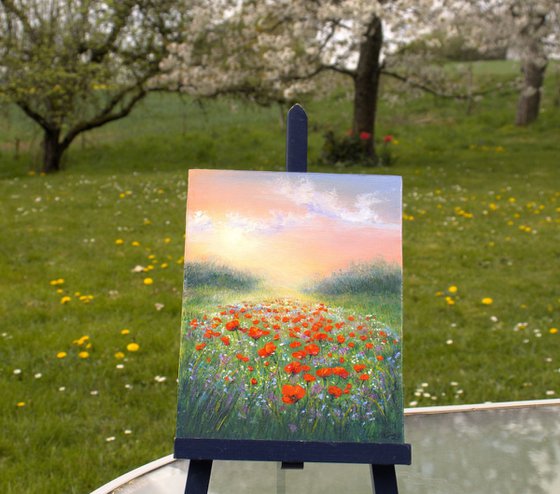 Sunrise at the poppy field