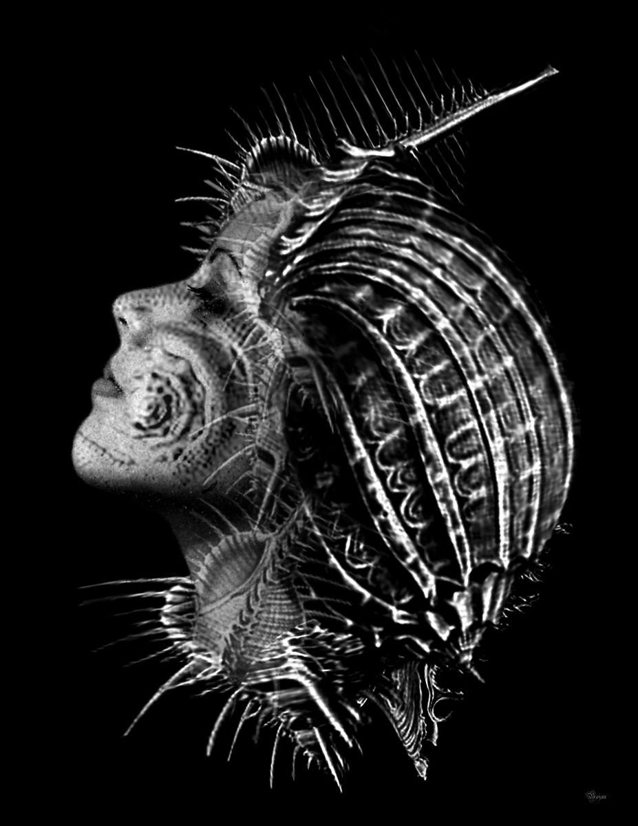 Illustrative Portrait Photograph By Bojan Jevtic, 33 X 43, Untouchable Girl, Original Artwork